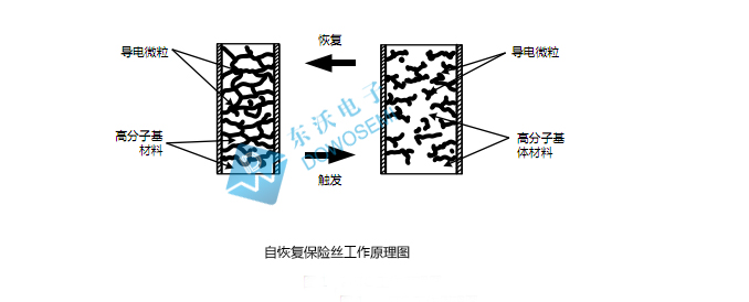 自恢復保險絲.jpg